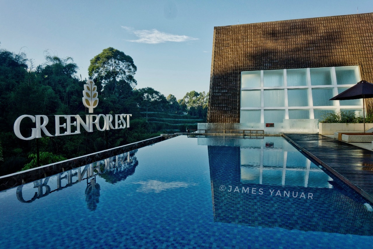 Visit Report Green Forest